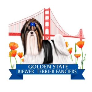 Delcielo Biewer Terriers